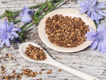 inulin chicory root
